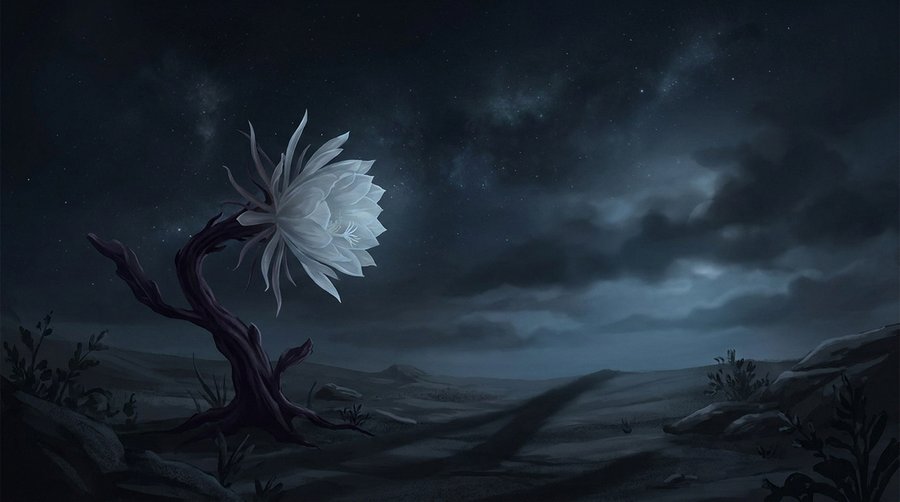 A night-blooming flower with no insect visitors present, illustrating the pollination gap caused by ALAN