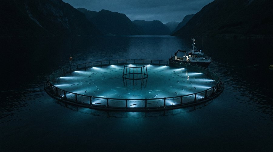 Salmon aquaculture net pen at night with underwater LED lights glowing through the water surface in a Norwegian fjord