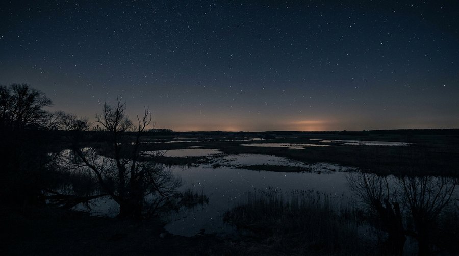 Brandenburg Havelland wetland at night with star reflections in shallow pools and faint Berlin glow on the horizon
