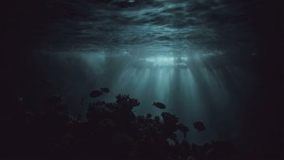 Underwater Light Pollution: Coral Reefs, Salmon, and Algal Blooms